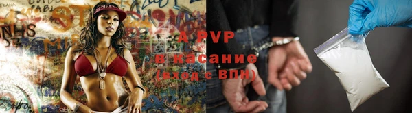 ешки Арсеньев
