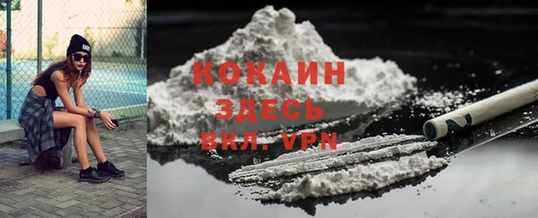 ешки Арсеньев